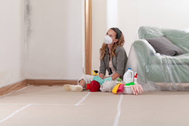 Reliable Mold Removal contractor in Columbia, IL by WQB Mold Removal